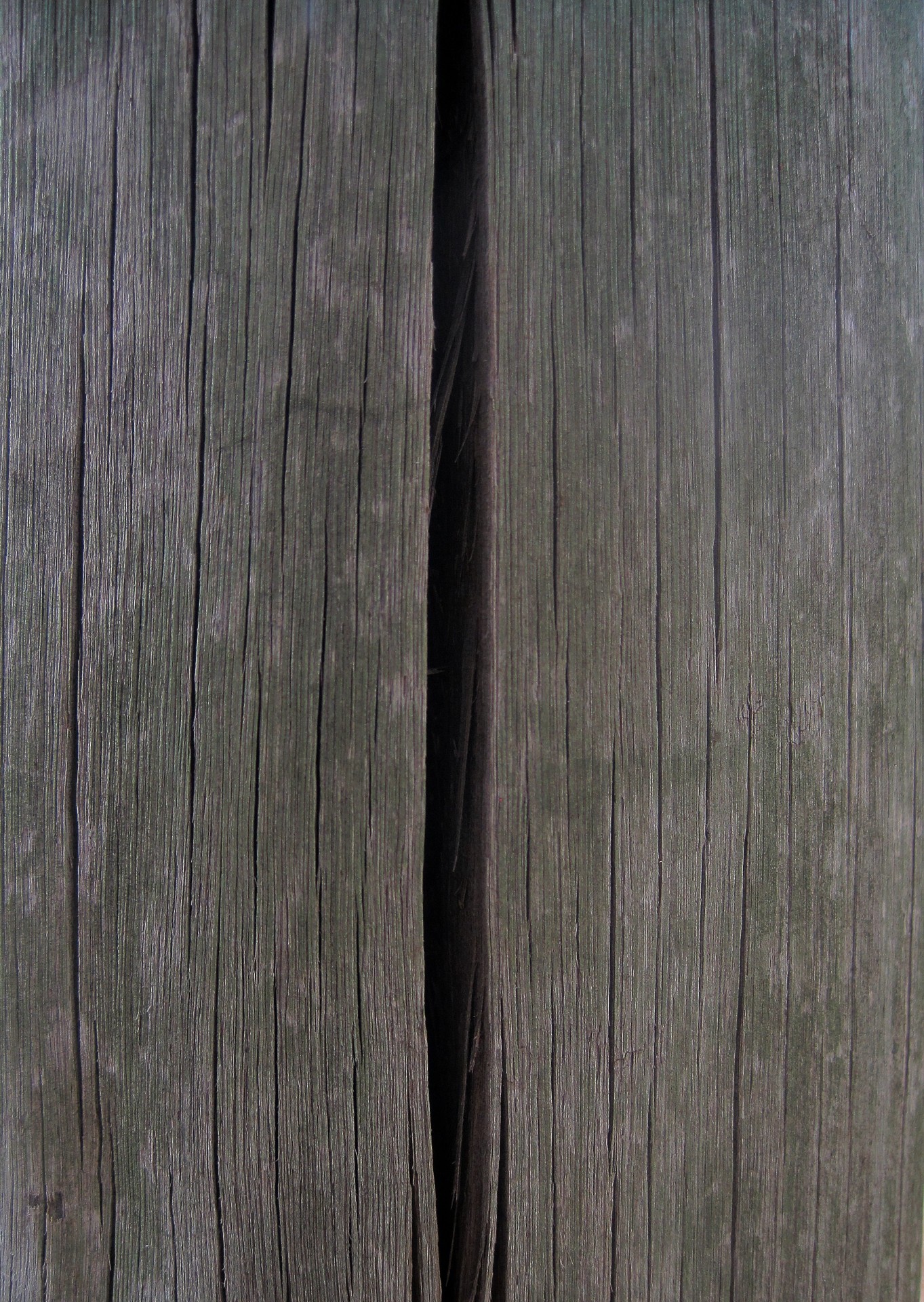 pole wood old free photo
