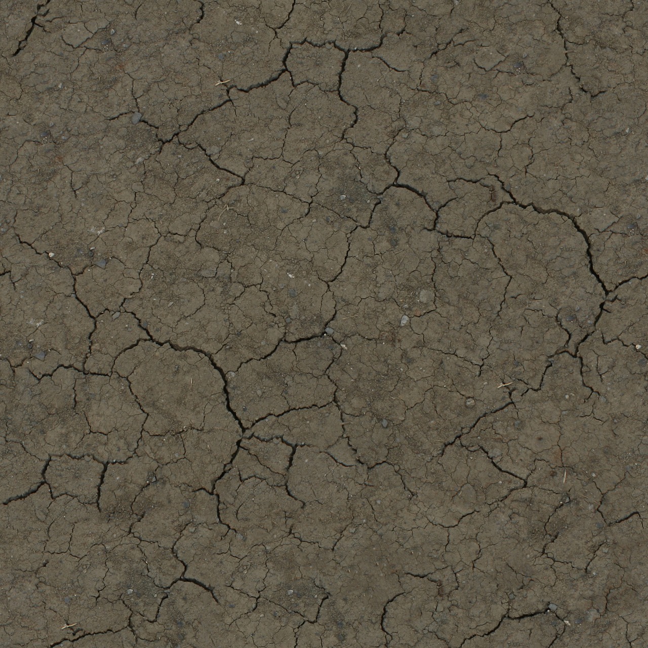 crackled ground earth free photo