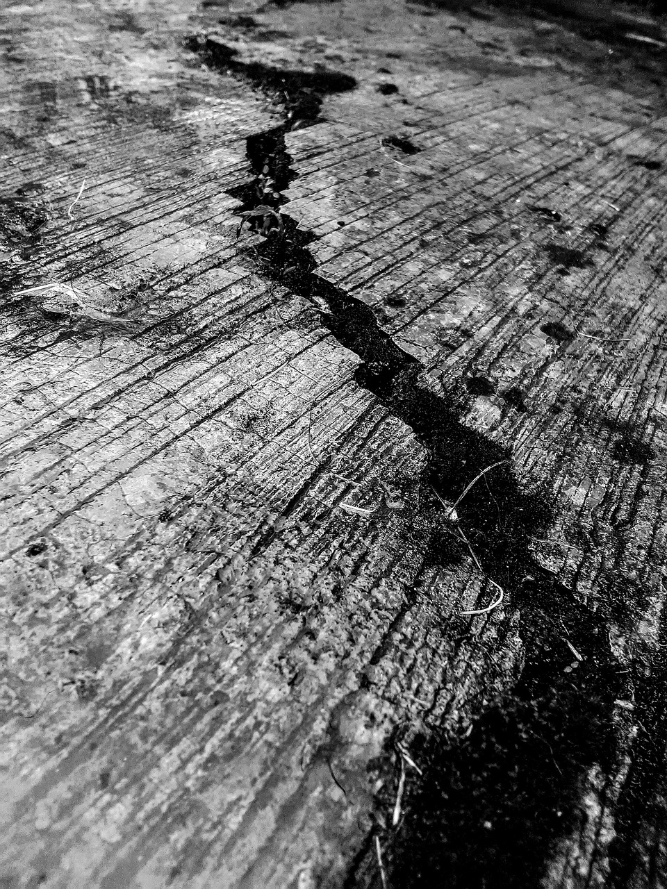 cracks tremor earthquake free photo