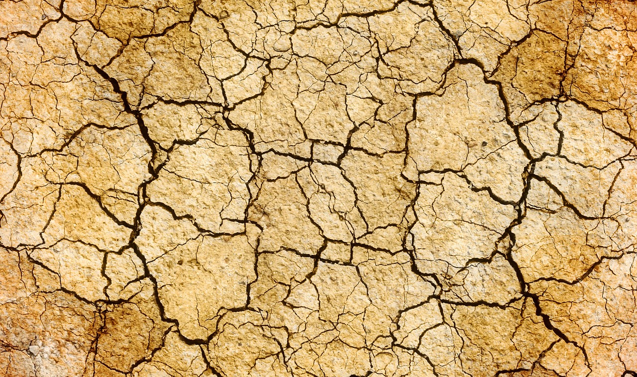 cracks drought earth free photo