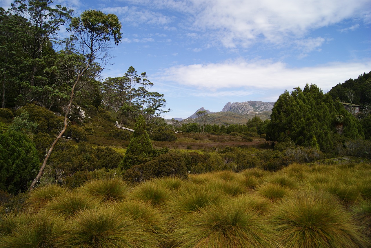 cradle mountain tasmania national park free photo