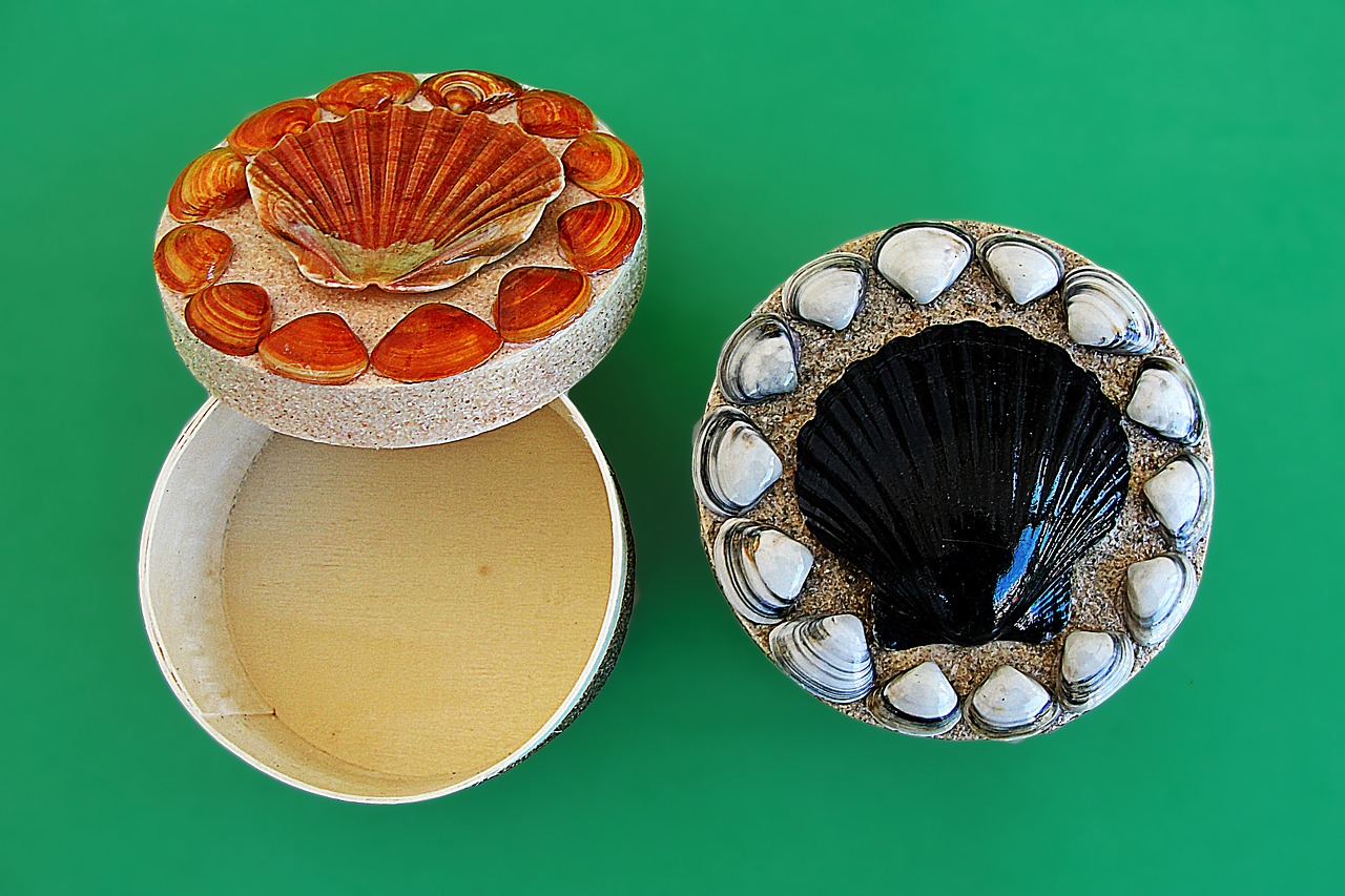 crafts sea shells boxes free photo