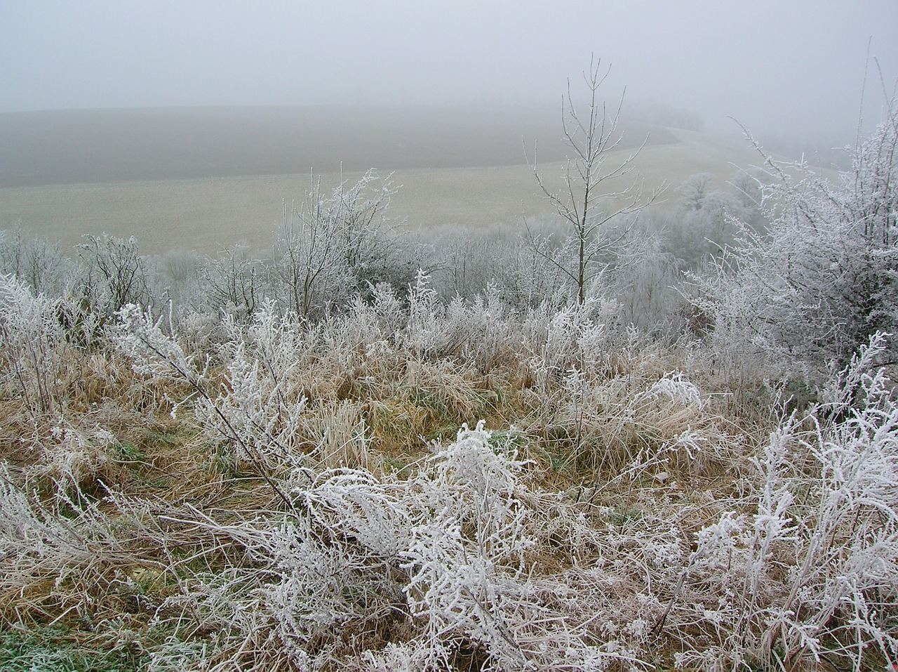crags winter frost free photo