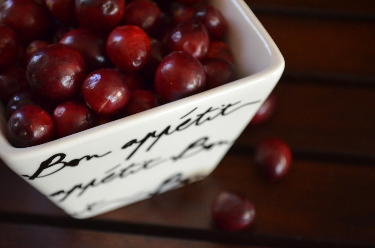 cranberries fruit cranberry free photo