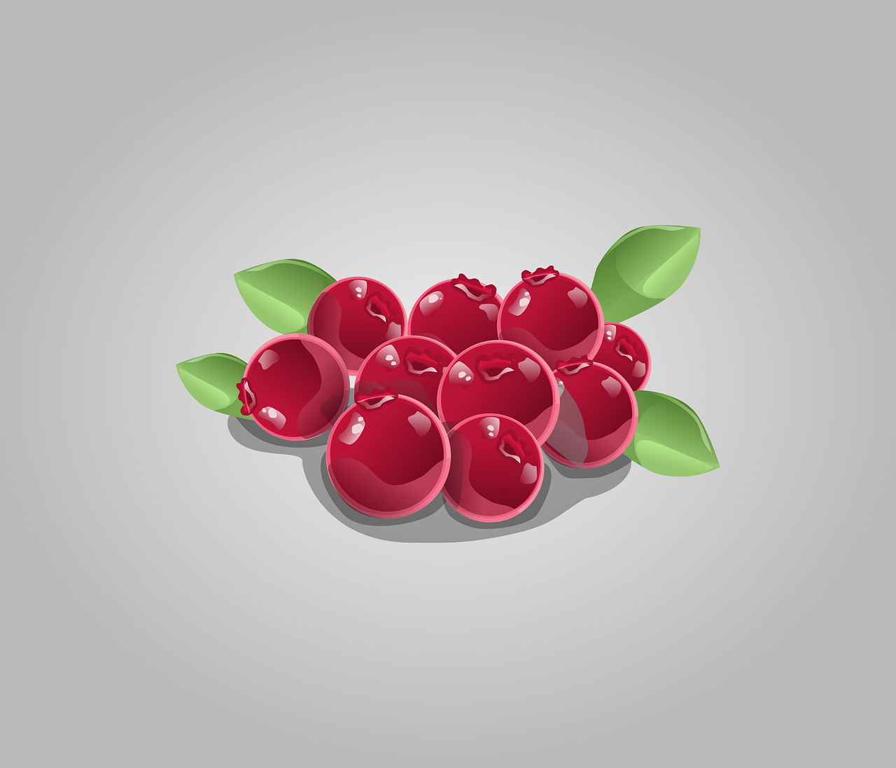 cranberries berries fruit free photo