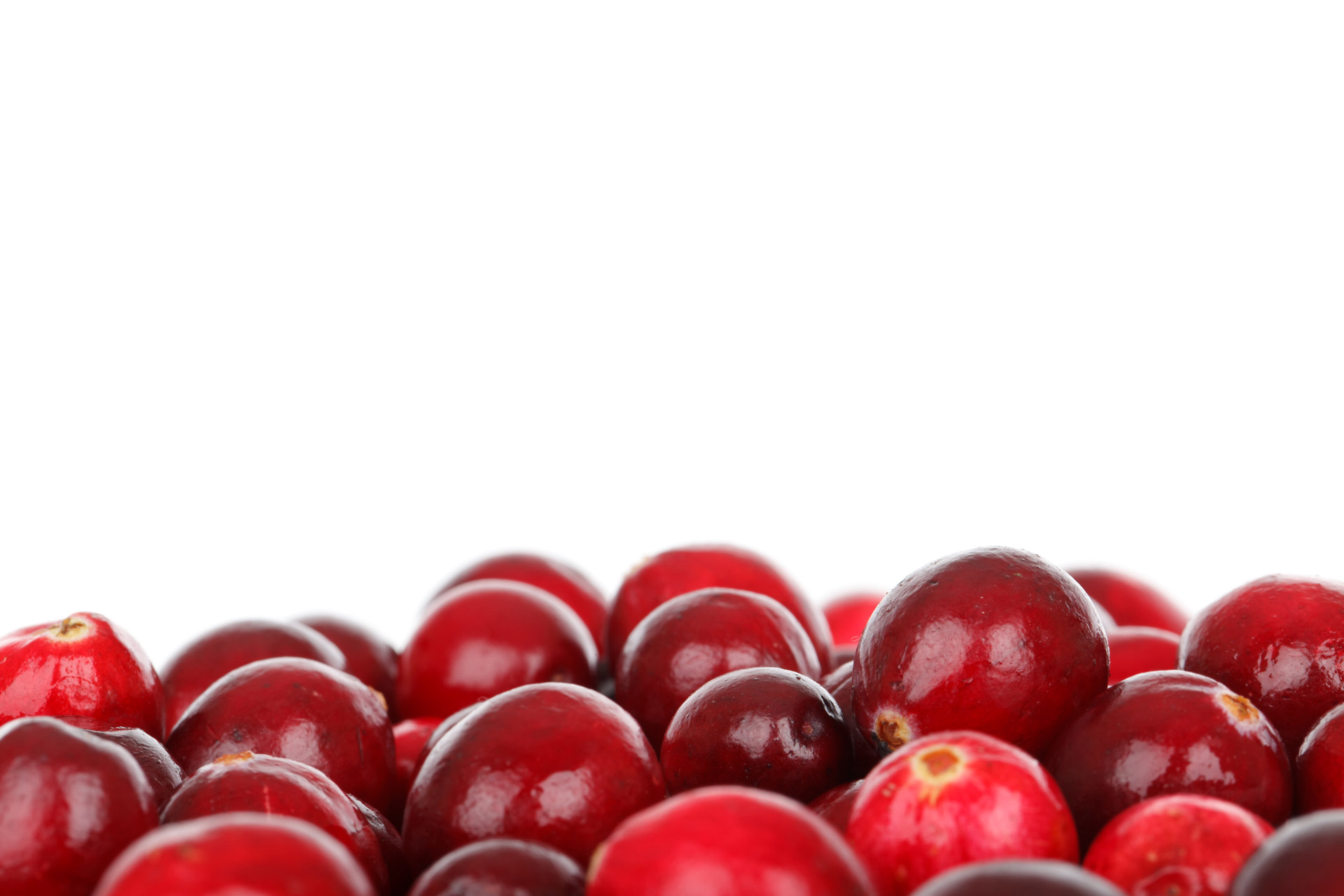 berry cranberry diet free photo