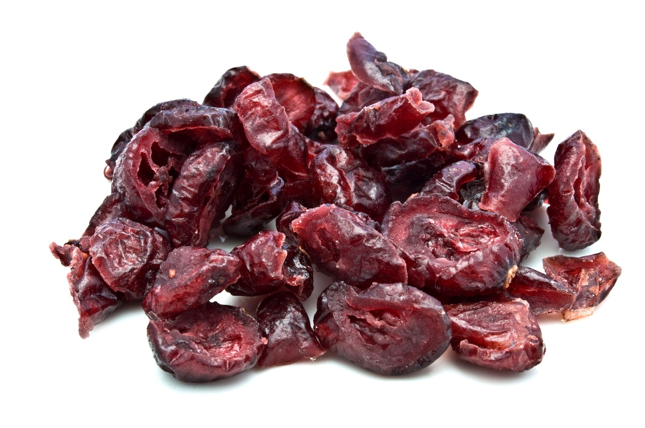 cranberry berry dried fruit free photo