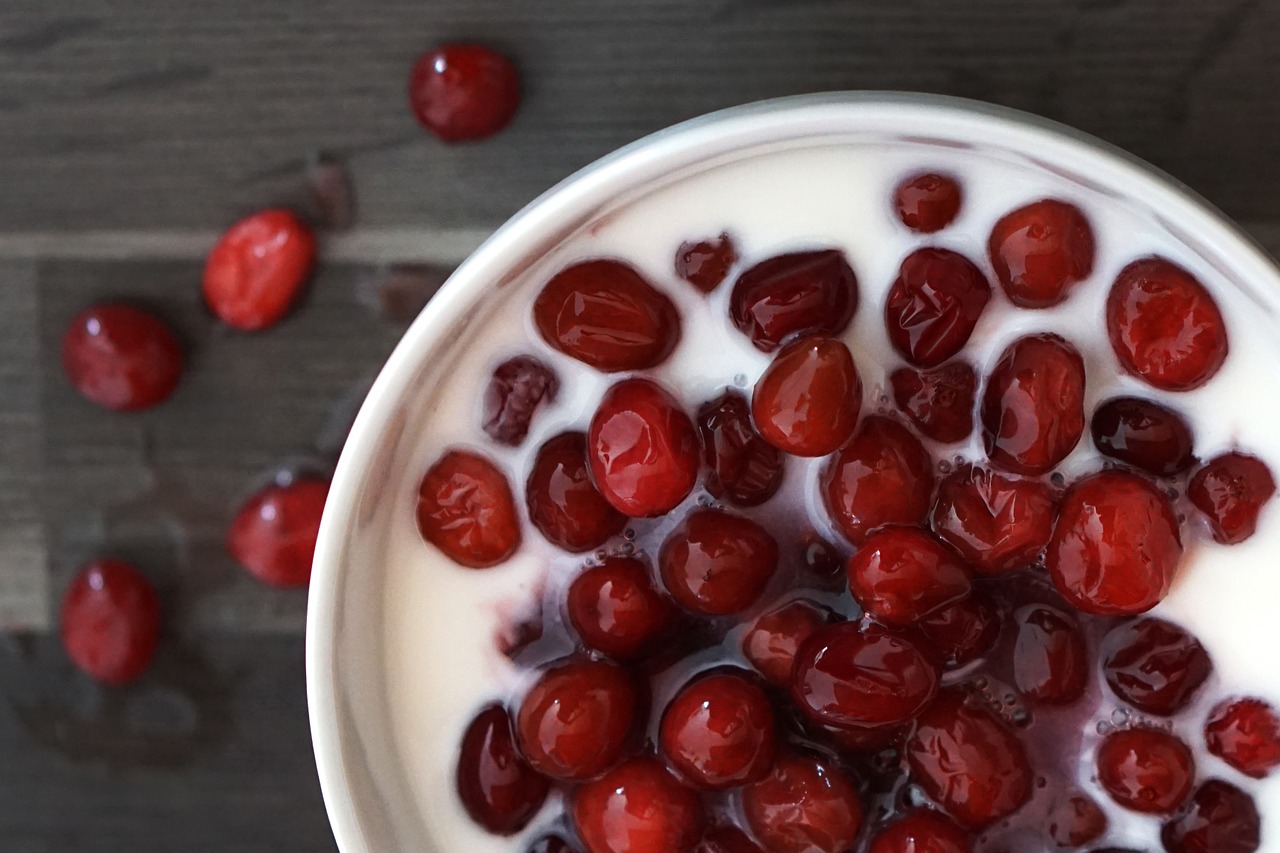 cranberry cranberries yogurt free photo