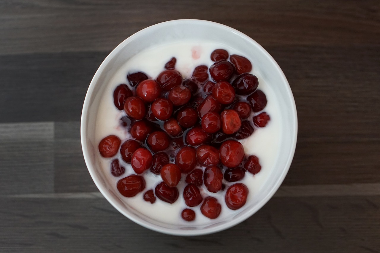 cranberry cranberries yogurt free photo