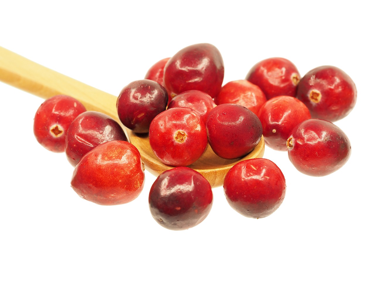cranberry spoon fruit free photo