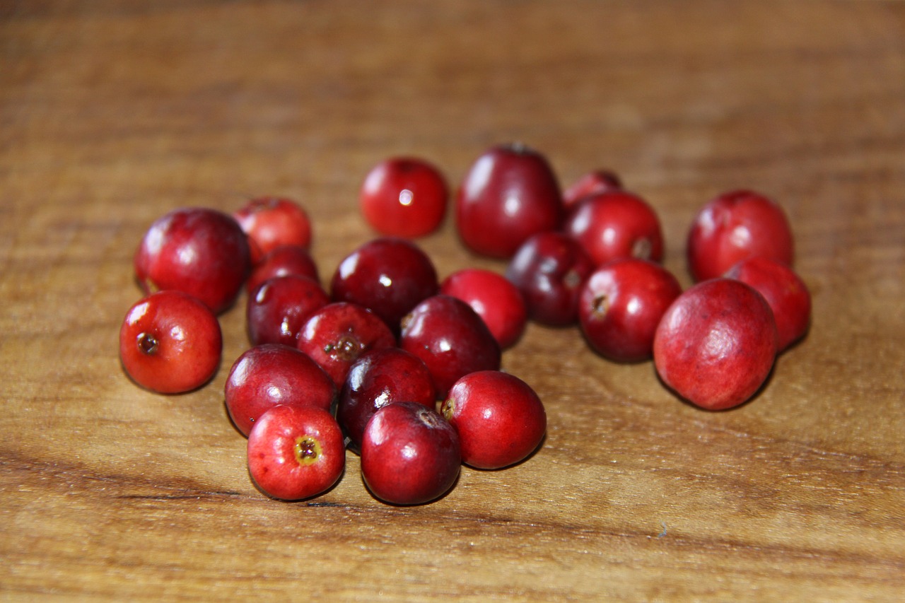 cranberry cranberry red fruits free photo
