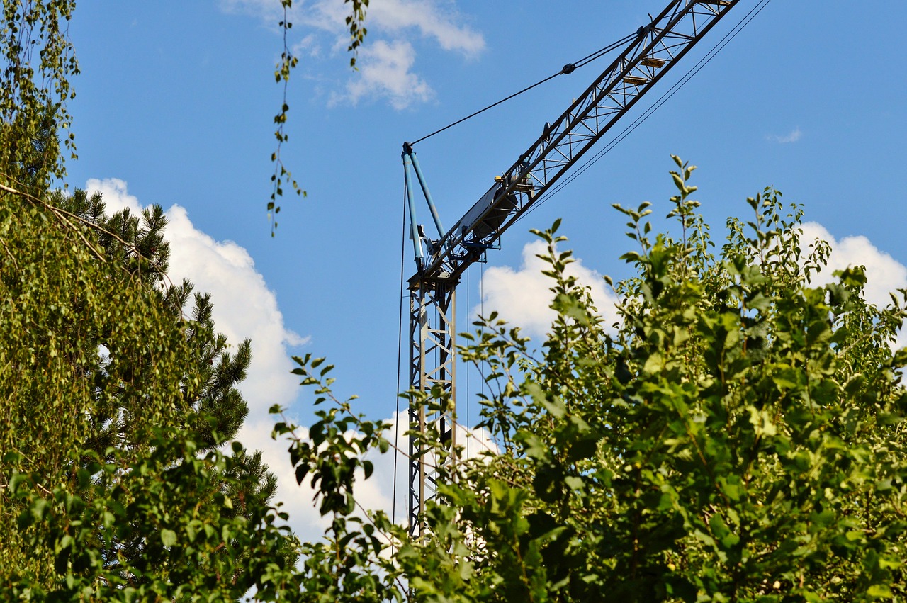 crane baukran load crane free photo