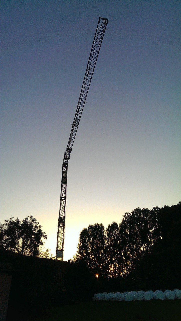 crane night twilight free photo