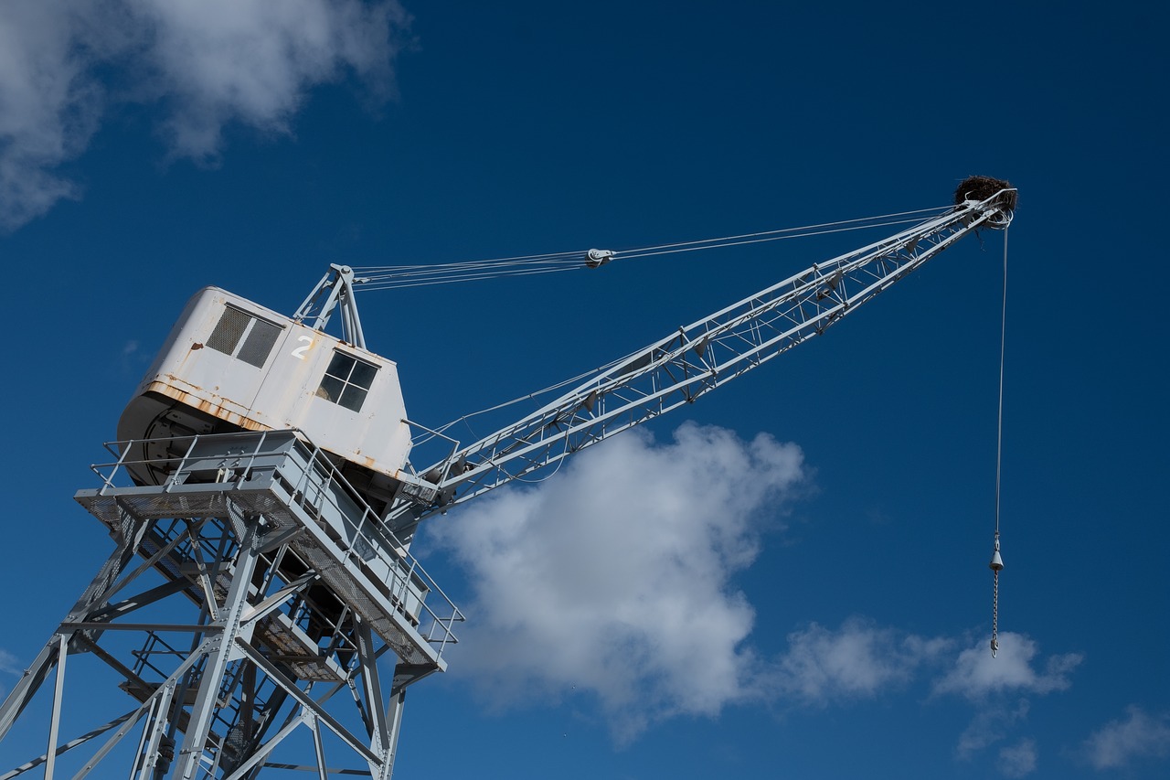 crane  sky  storchennest free photo