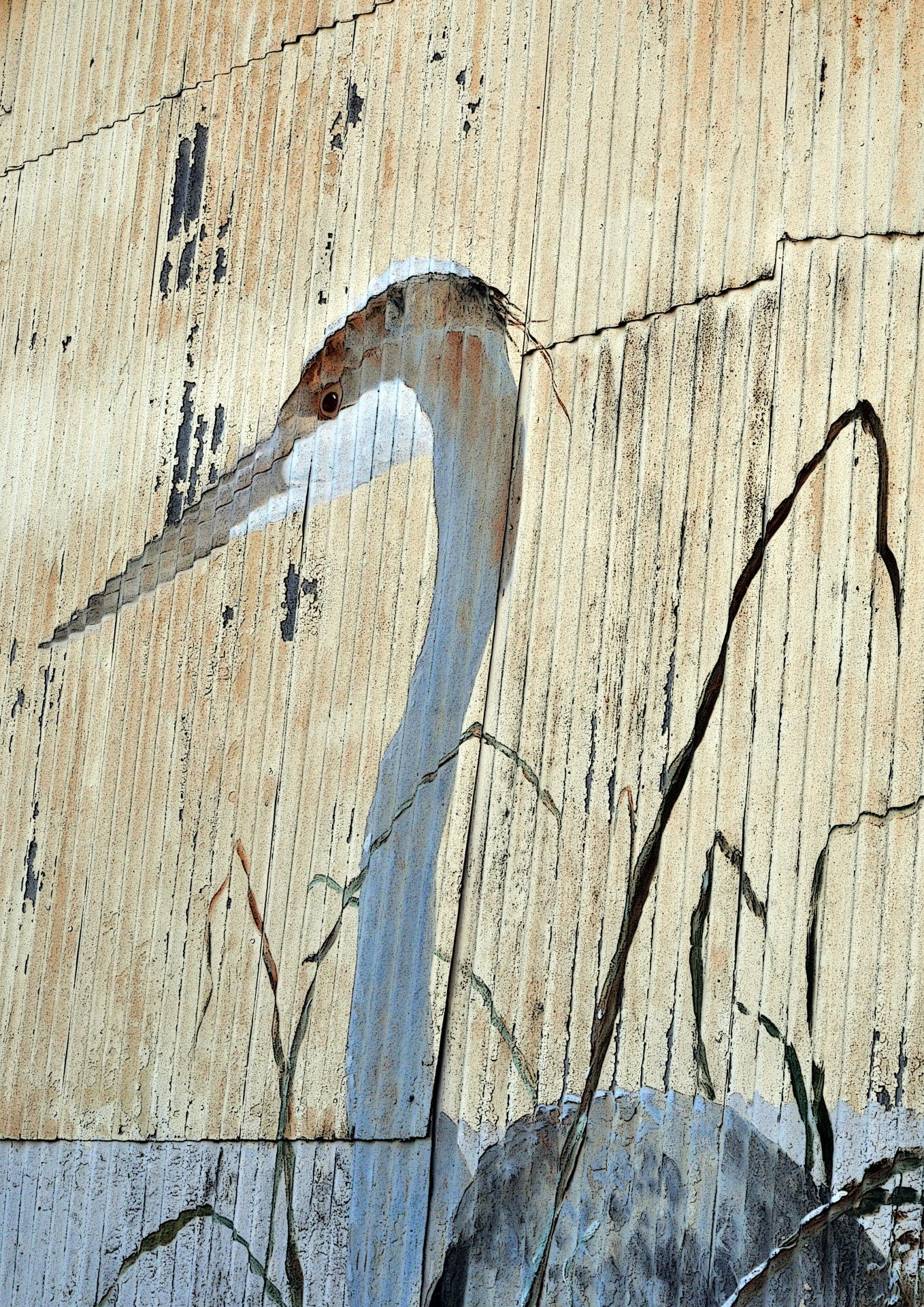 crane cranes gruidae free photo