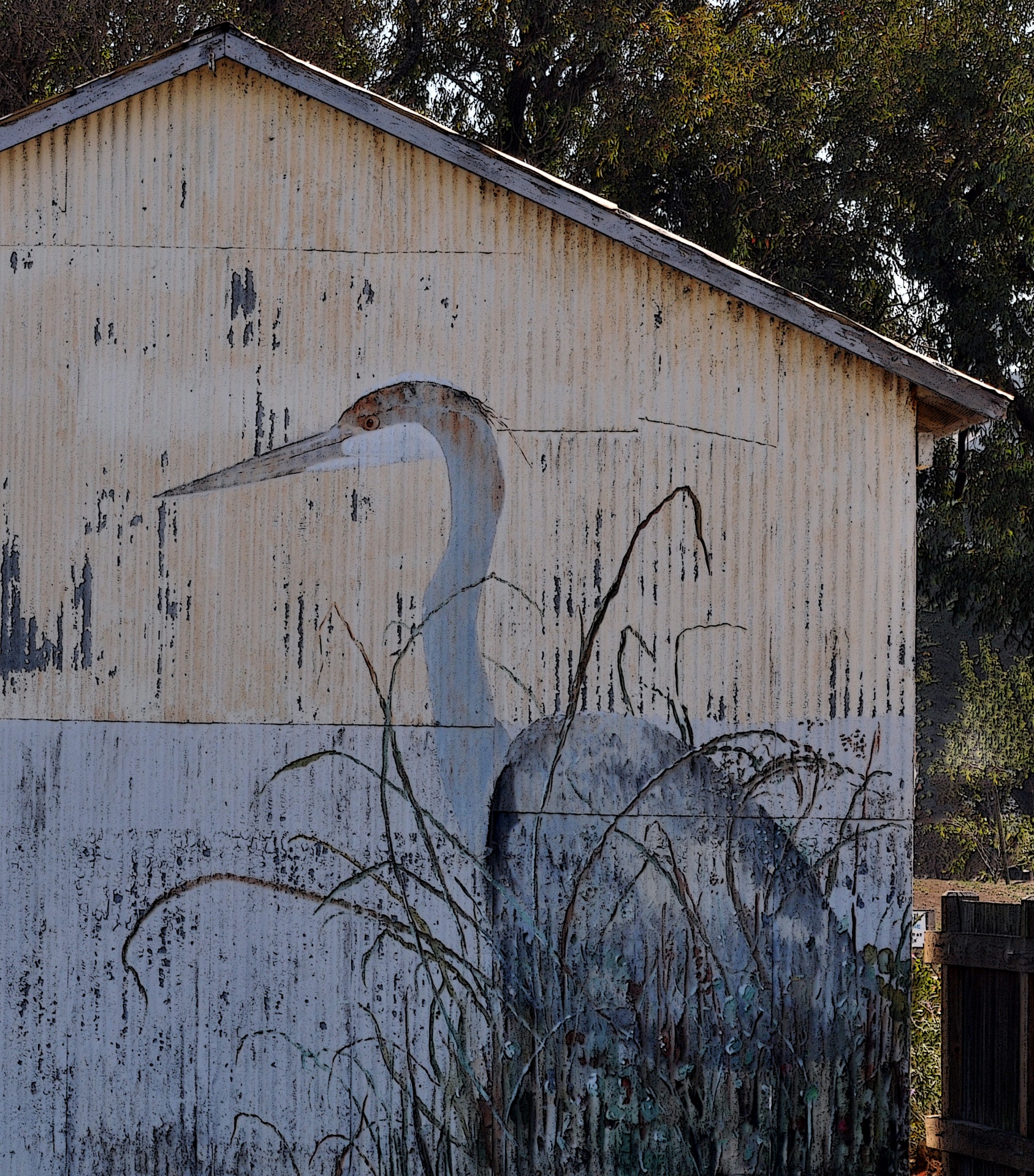 crane cranes gruidae free photo