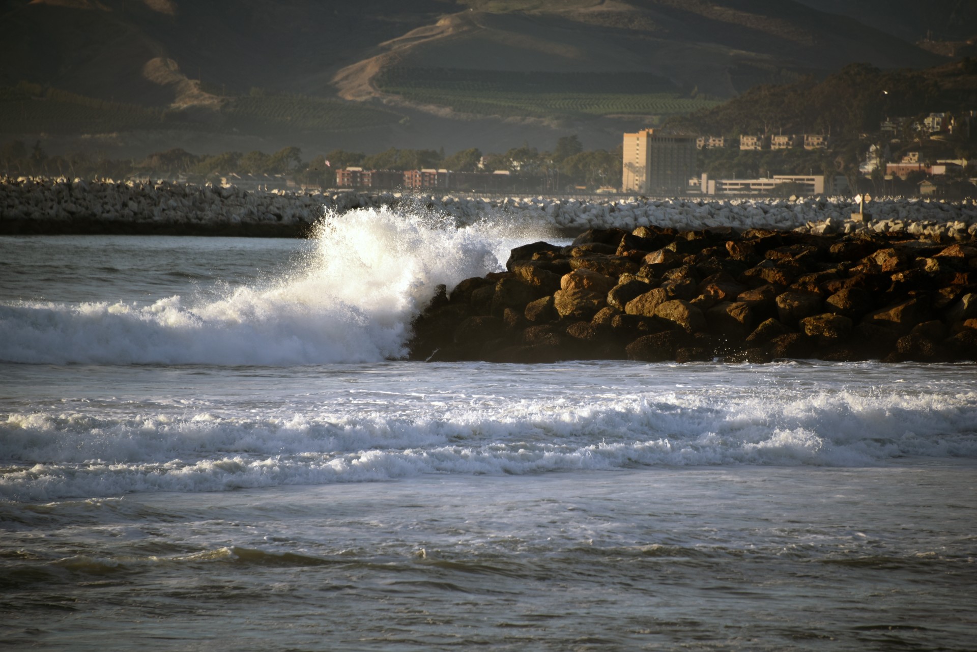 waves ocean crash free photo