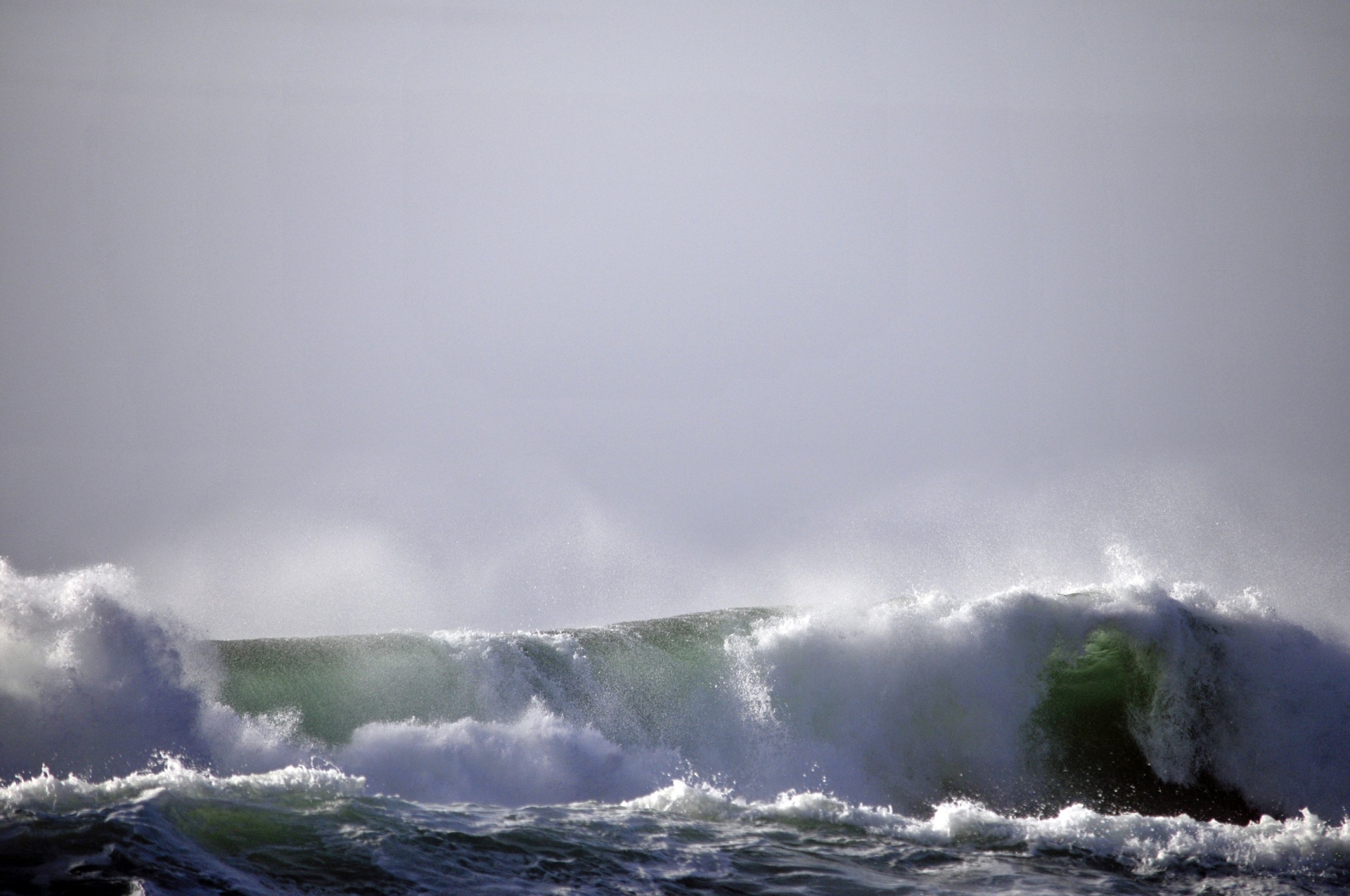 ocean sea beach free photo