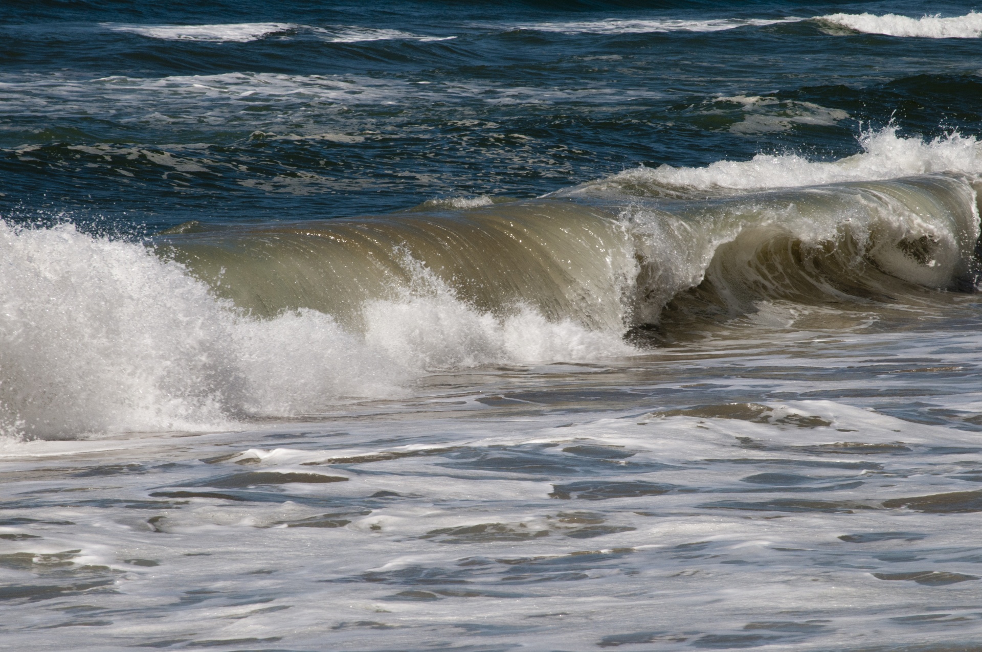 ocean sea beach free photo