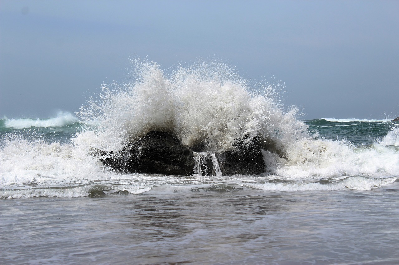 crashing wave ocean wave free photo