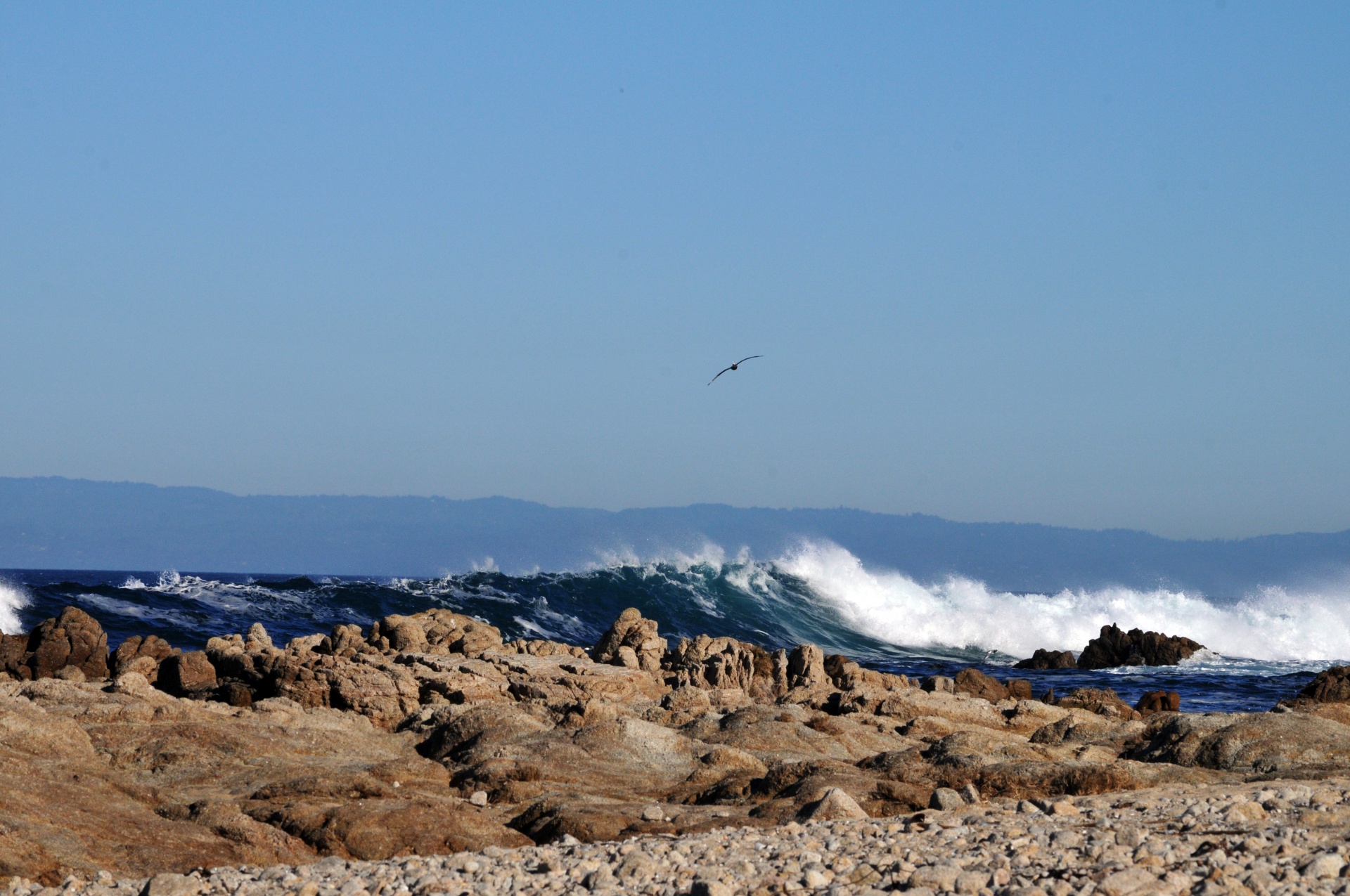 wave waves ocean free photo