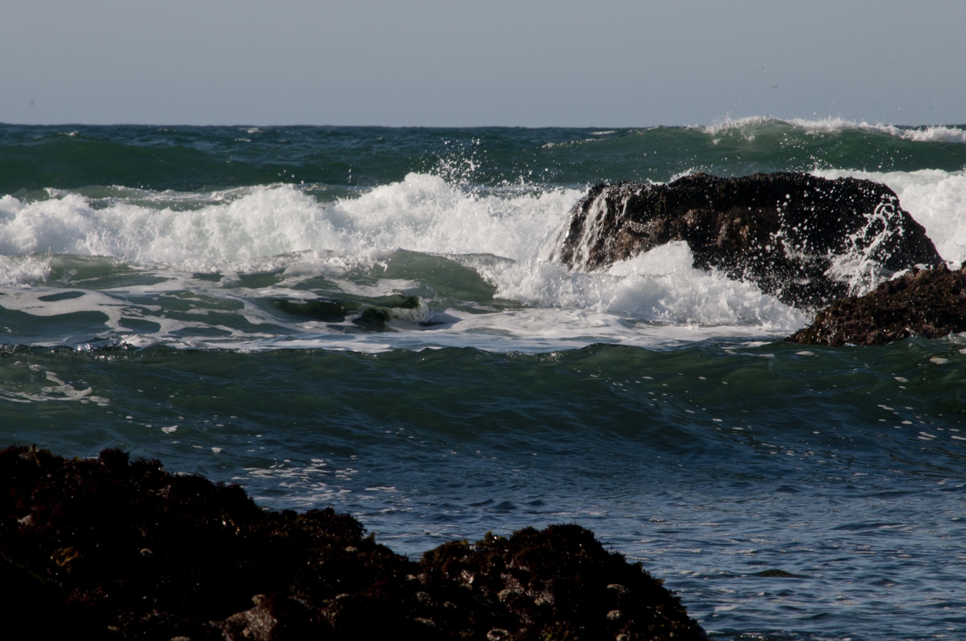 wave crashing wave ocean free photo