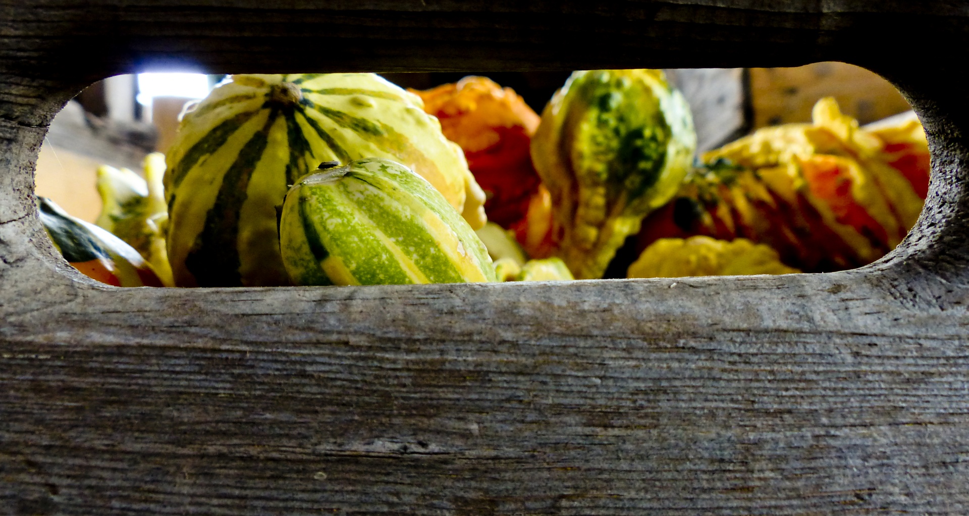 crate view gourds free photo