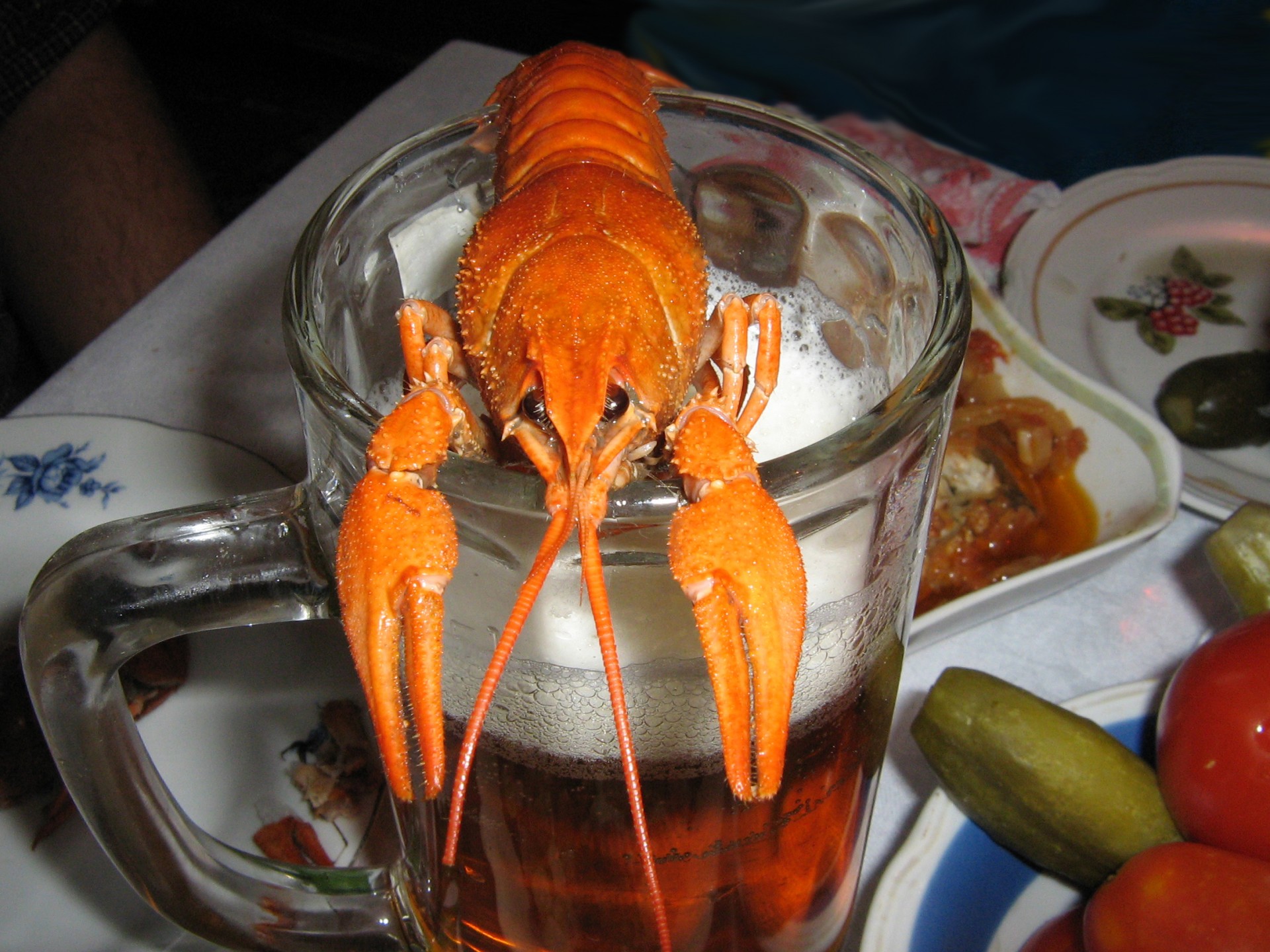 crayfish beer dinner free photo