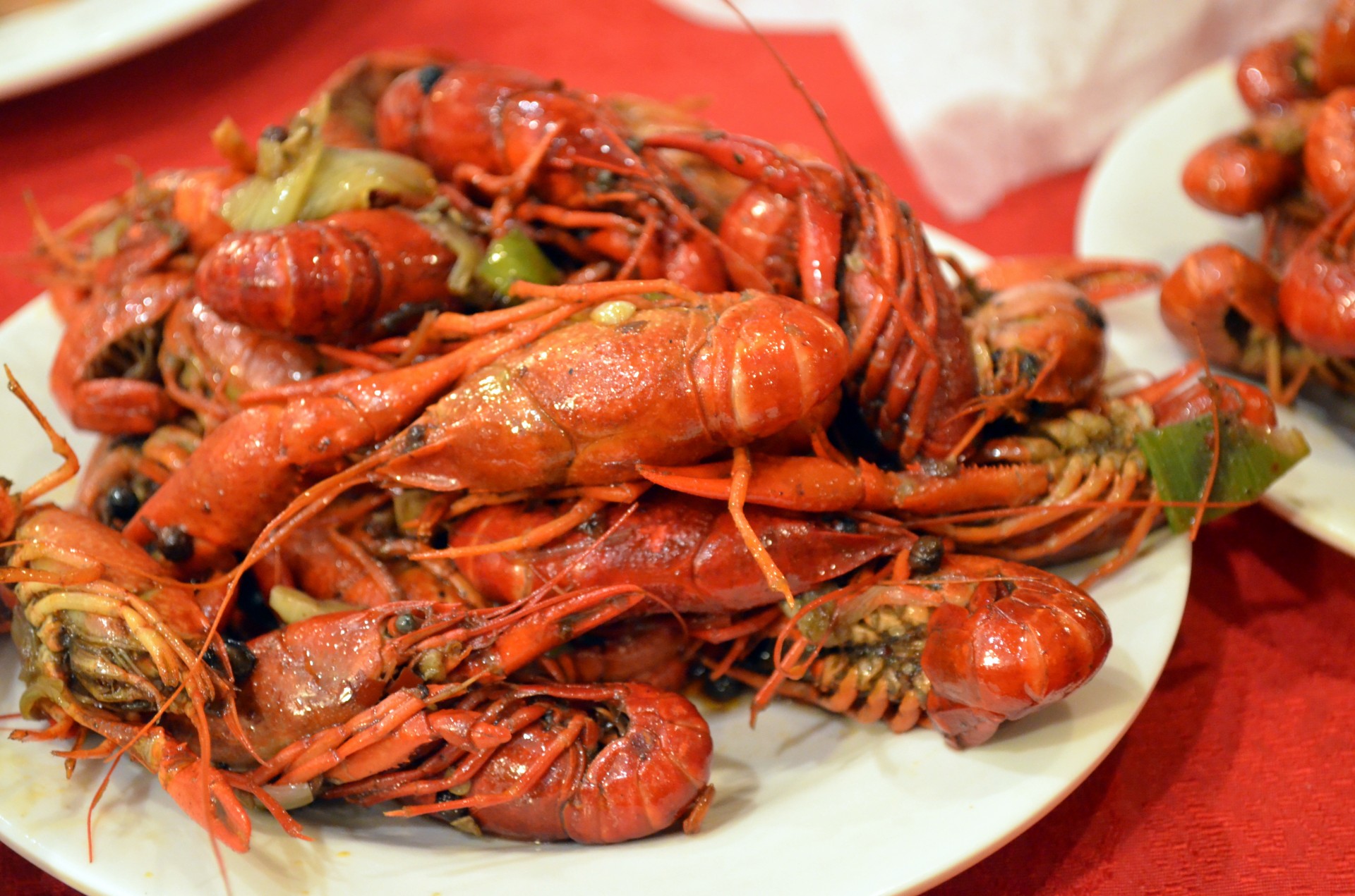 crayfish animals food free photo