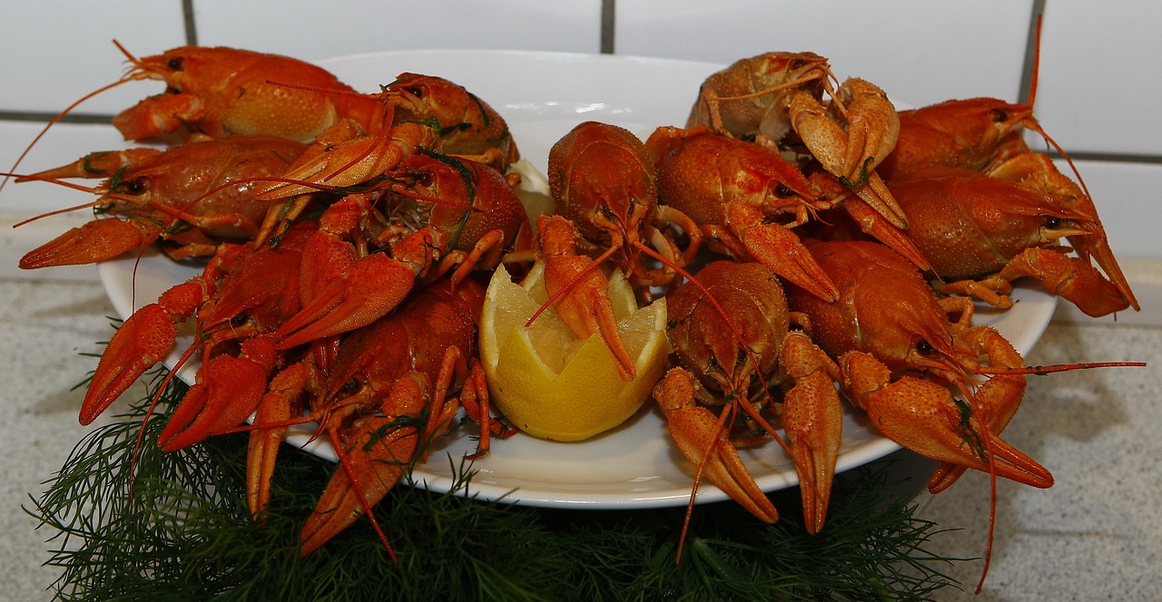crayfish cooked seafood free photo