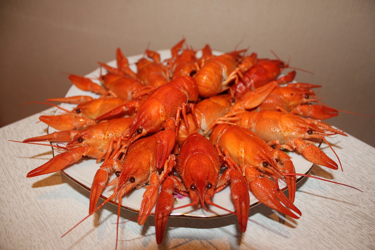 crayfish  boiled crawfish  red crayfish free photo