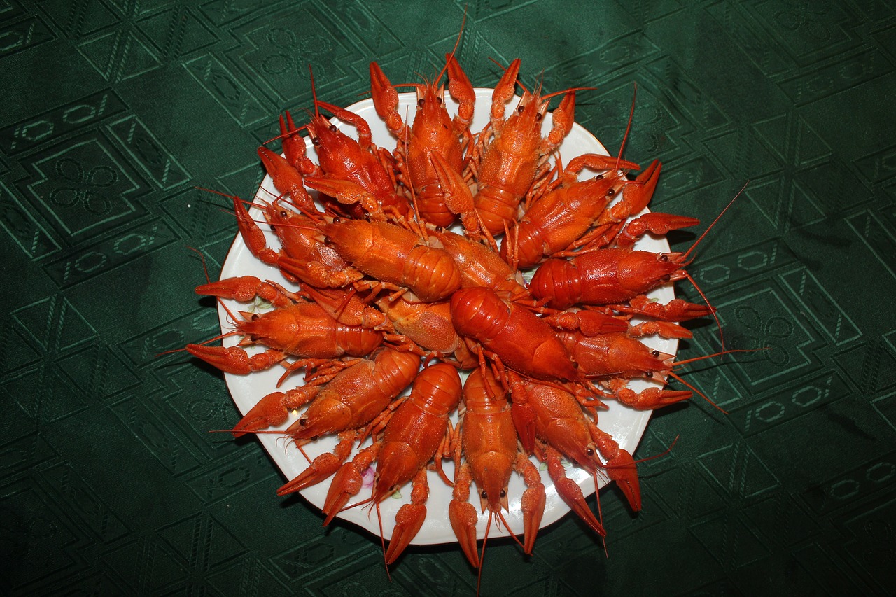 crayfish  boiled crawfish  red crayfish free photo