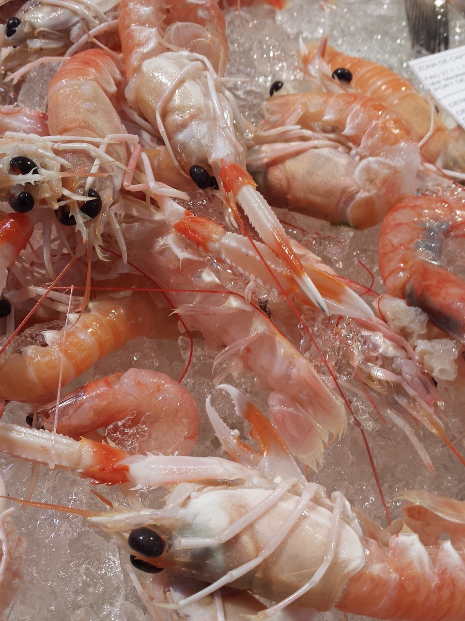 crayfish dénia seafood free photo