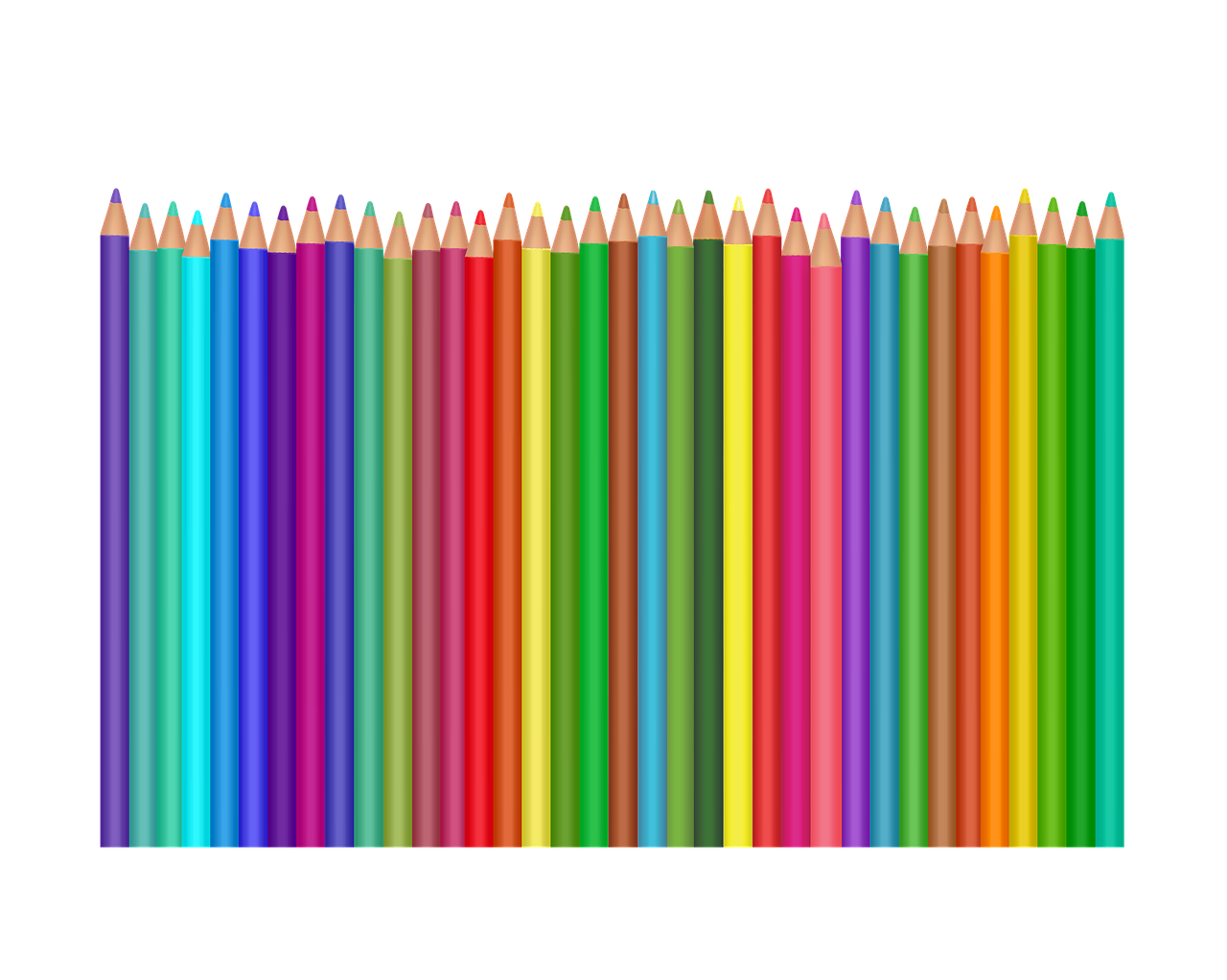 crayons colourful pencils school free photo