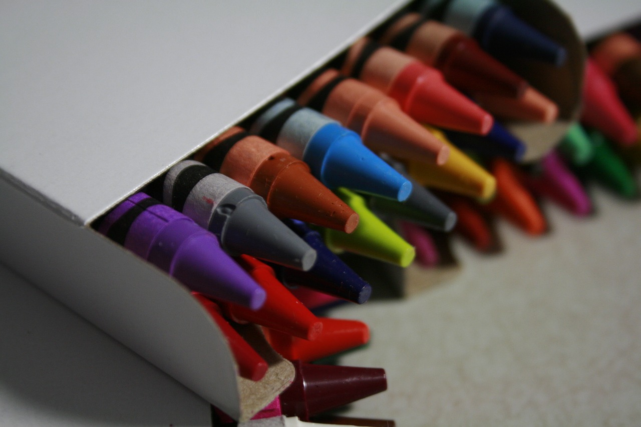 crayons colour school free photo