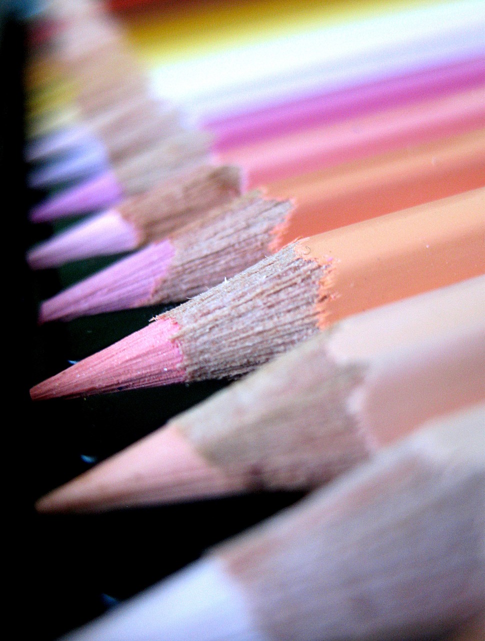 crayons colors education free photo