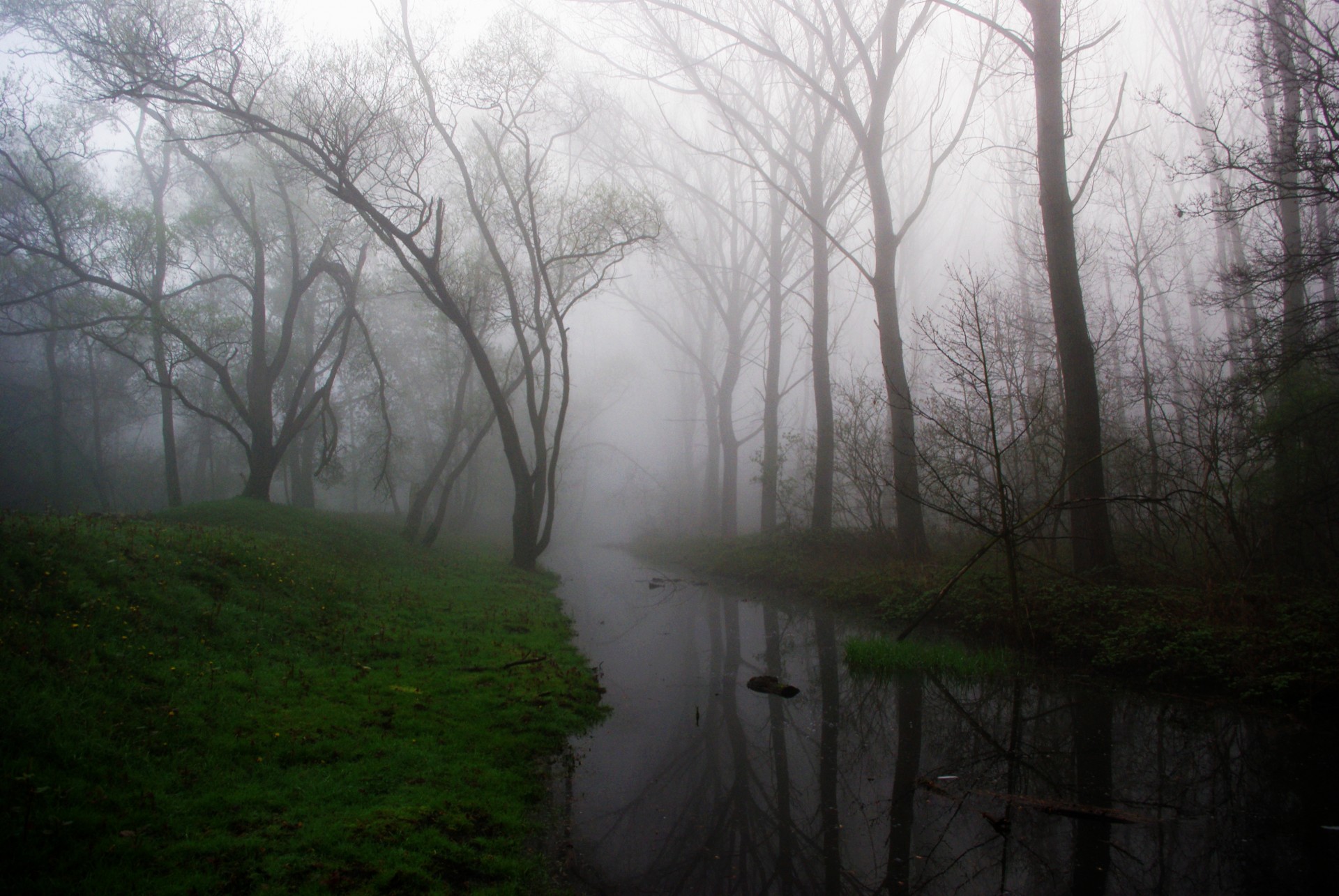 creak water river free photo