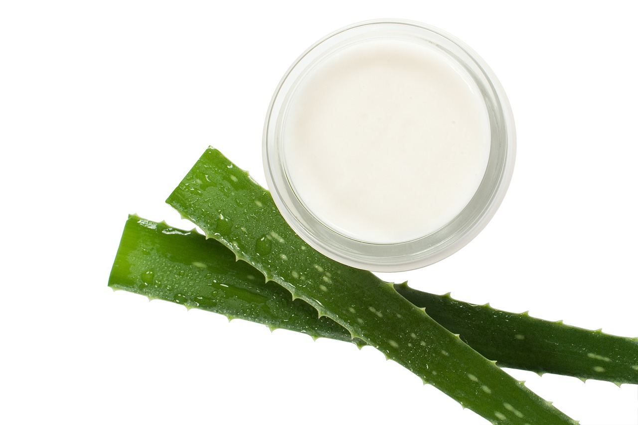 cream  aloe vera  beautician free photo