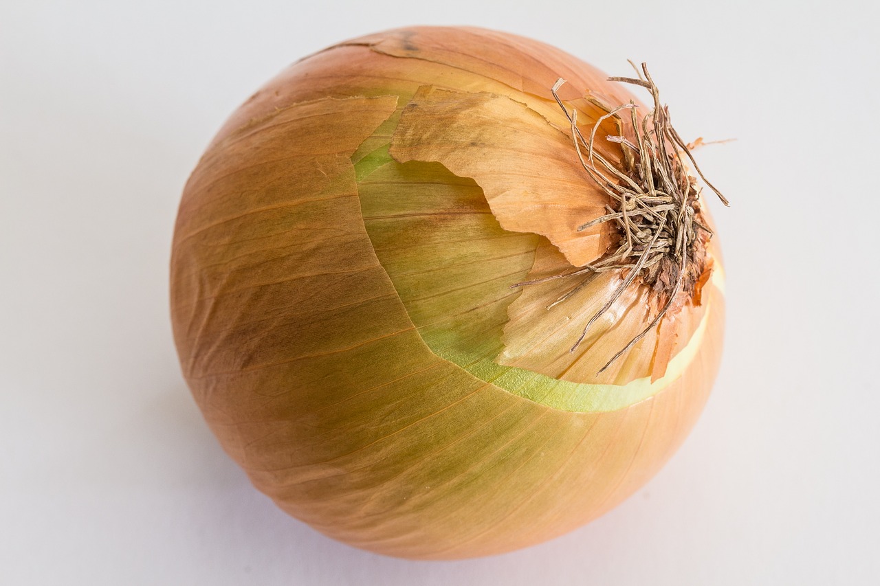 cream onion kitchen onion onions free photo