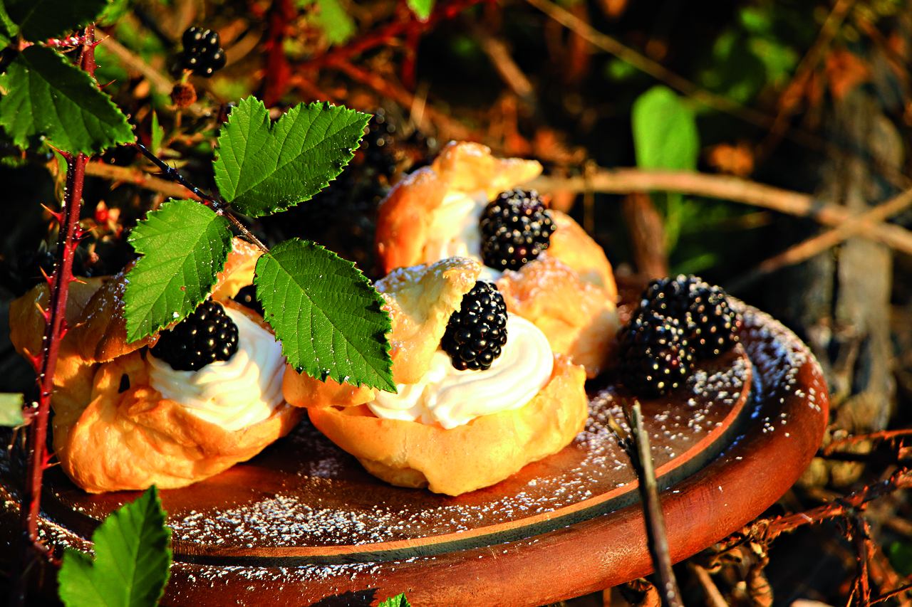 cream puff  berries  blackberries free photo