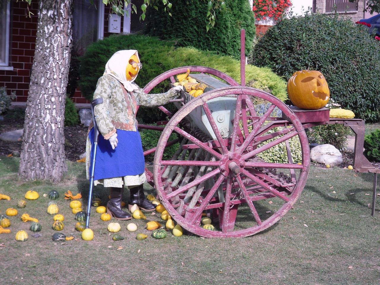 creation pumpkin seeding-machine free photo