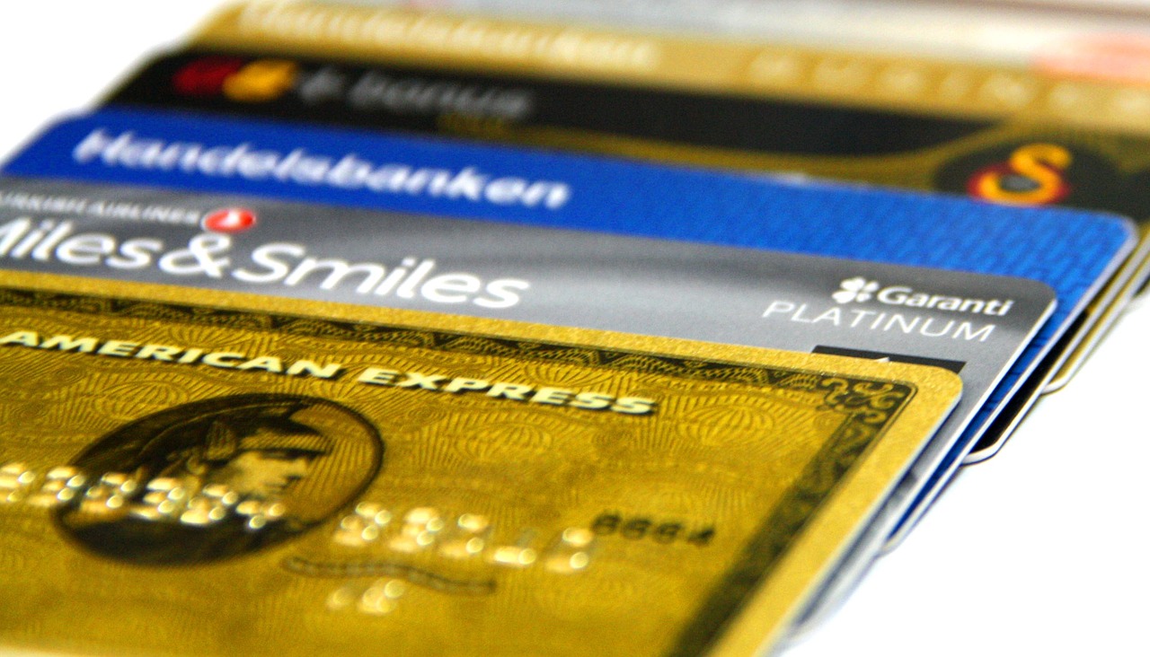credit card visa card credit free photo