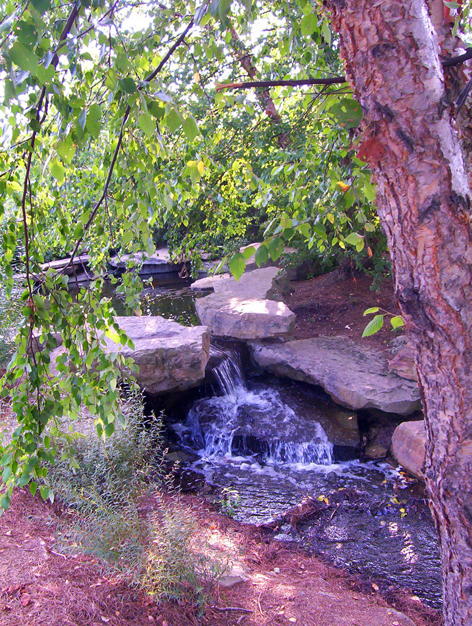 creek water waterfall free photo