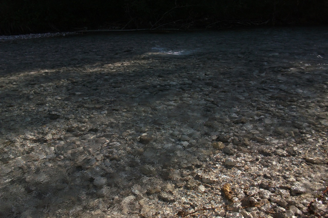 creek mountain stream austria free photo