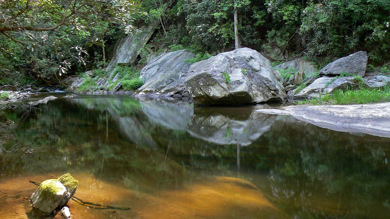 creek reflection sunlight free photo