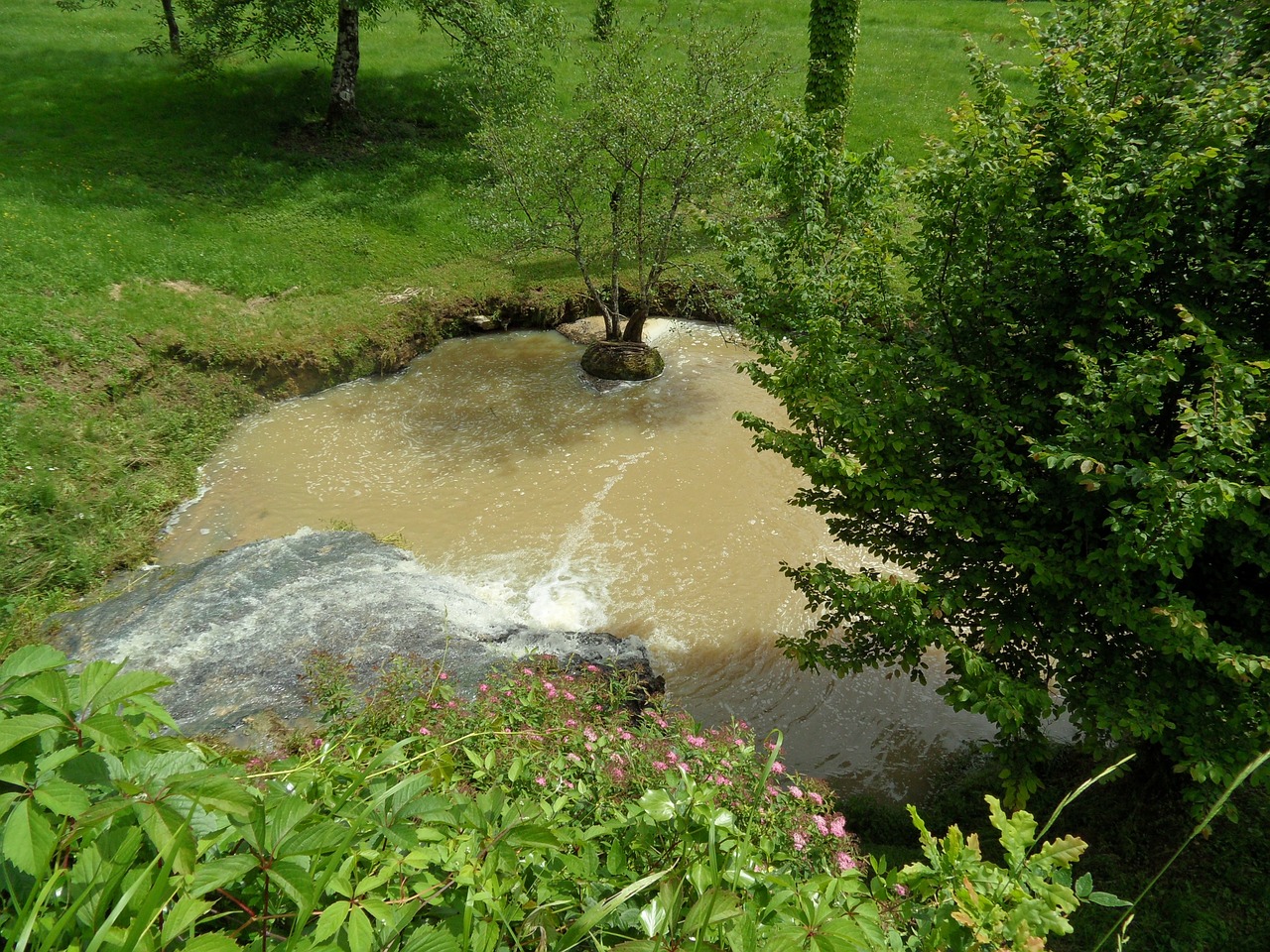 creek nature basin free photo