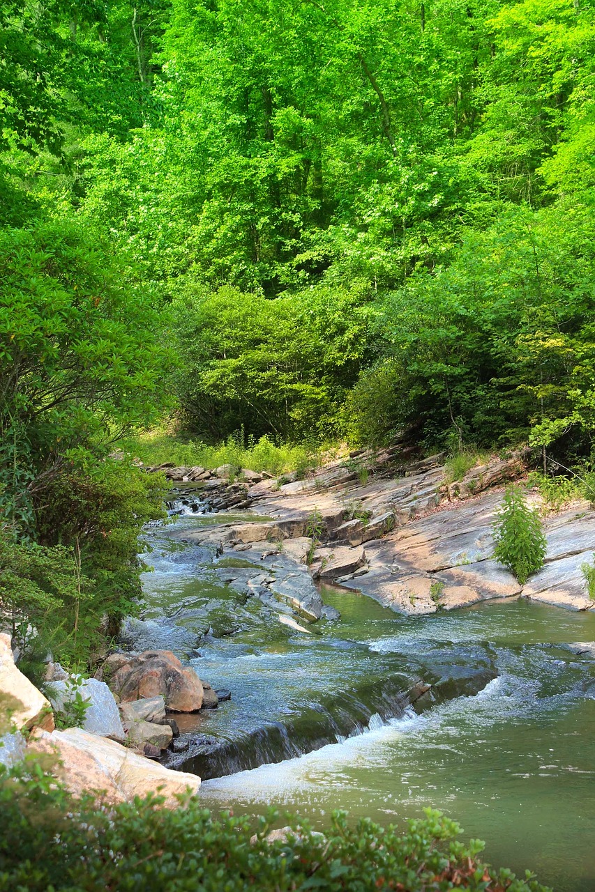 creek georgia toccoa free photo