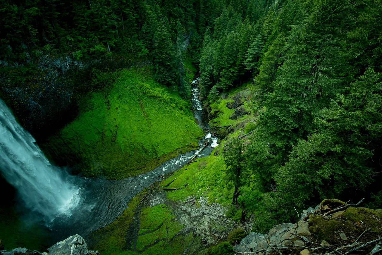 creek landscape moss free photo