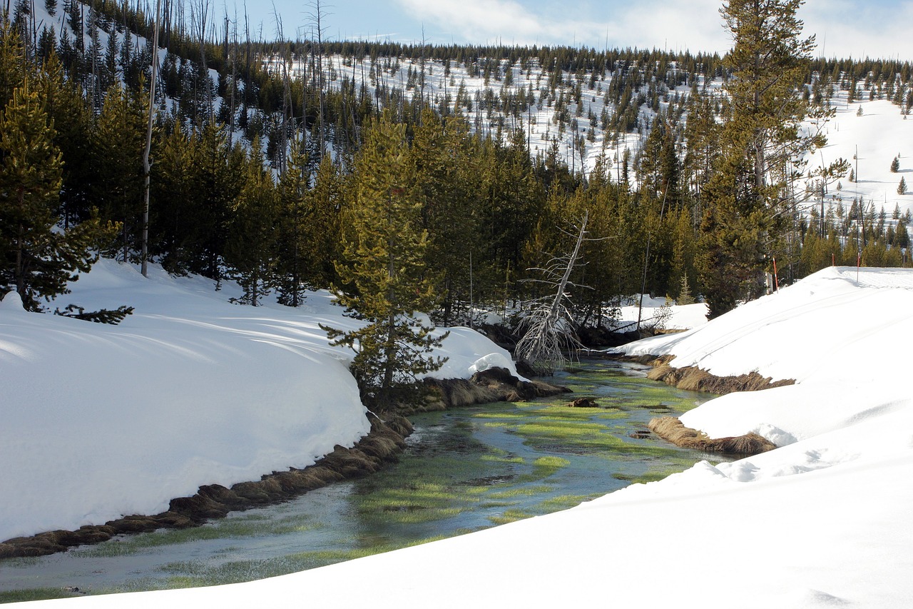 creek water winter free photo