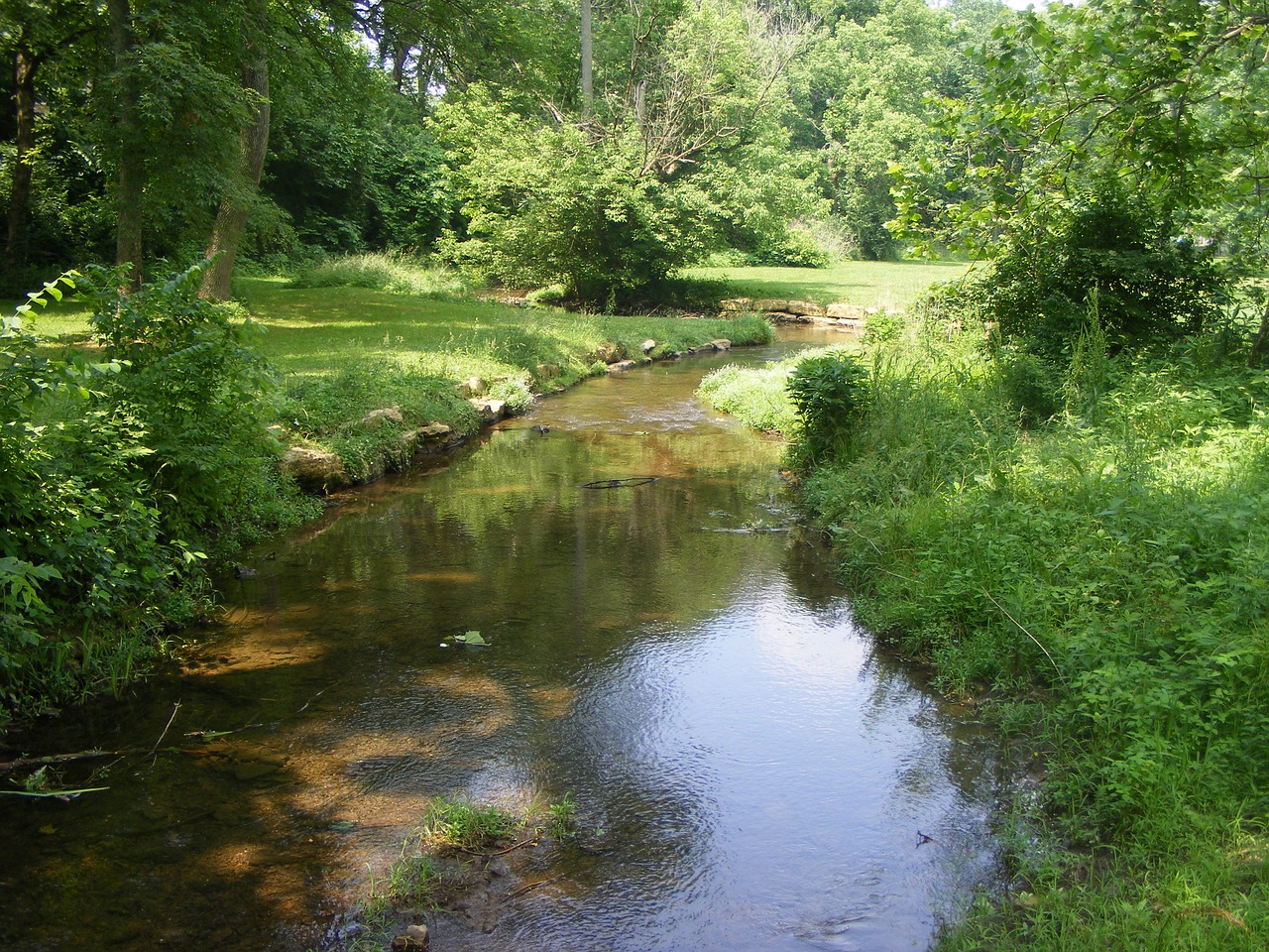 creek green water free photo